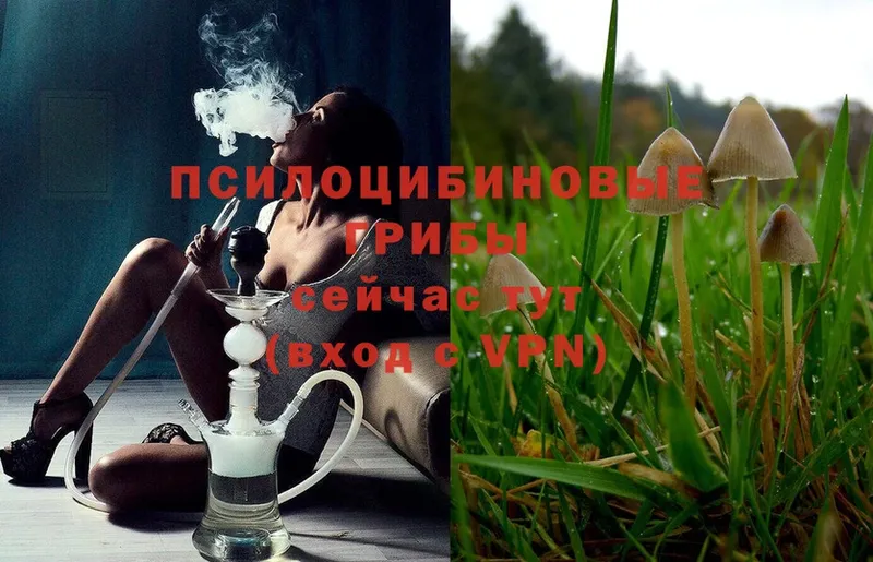 Галлюциногенные грибы Magic Shrooms  площадка как зайти  Лениногорск 